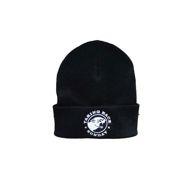 Black Panther Beanie